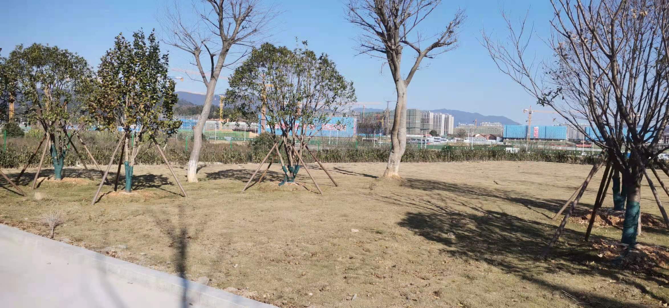 5.̻2.jpg